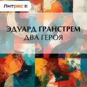 Постер книги Два героя