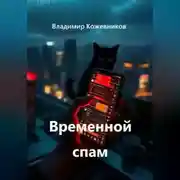 Постер книги Временной спам