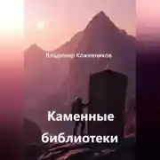 Постер книги Каменные библиотеки