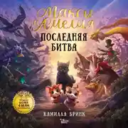 Постер книги Макси и Амелия. Последняя битва