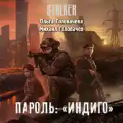 Постер книги Пароль: «Индиго»