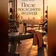 Постер книги После последнего подхода
