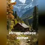 Постер книги Историческое время
