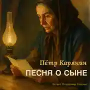 Постер книги Песня о сыне