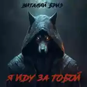 Постер книги Я иду за тобой