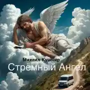 Постер книги Стрёмный Ангел