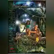 Постер книги Последний первый