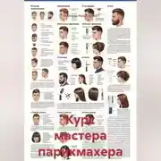Постер книги Курс мастера парикмахера