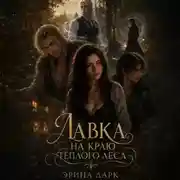 Постер книги Лавка на краю тёплого леса