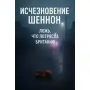 Постер книги Как раскрыли инсценировку похищения