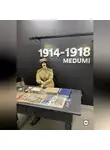 Ярослав Кичало - Военно-исторический роман Пепел Медуми