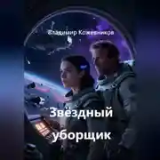 Постер книги Звёздный уборщик