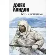 Постер книги Тень и вспышка