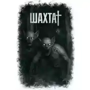Постер книги Шахта
