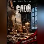 Постер книги Слой