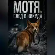 Постер книги Мотя. След в никуда