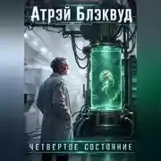Постер книги Четвертое состояние
