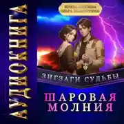 Постер книги Зигзаги судьбы. Шаровая молния