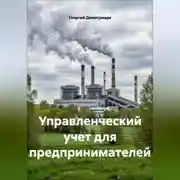 Постер книги Управленческий учет для предпринимателей