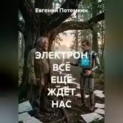 Постер книги Электрон всё ещё ждёт нас