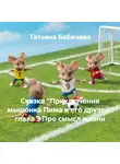 Татьяна Бабичева - Сказка «Приключения мышонка Пима и его друзей» глава 3 Про смысл жизни
