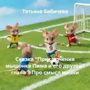 Постер книги Сказка «Приключения мышонка Пима и его друзей» глава 3 Про смысл жизни