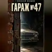 Постер книги Гараж 47