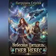 Постер книги Небесная цитадель: Гнев небес