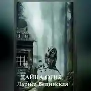 Постер книги Тайна Огня