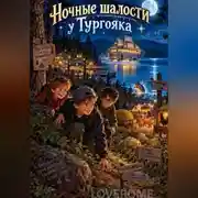 Постер книги Ночные шалости у Тургояка