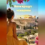 Постер книги Боги крадут чемоданы