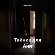 Постер книги Тайник для Ани