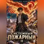Постер книги Системный Пожарный II