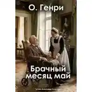 Постер книги Брачный месяц май