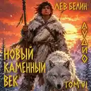 Постер книги Новый каменный век. Том VI