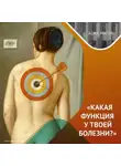 Казанский федеральный университет - Психосоматика: правда и мифы