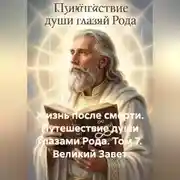Постер книги Жизнь после смерти. Путешествие души глазами рода. Том 7. Великий завет