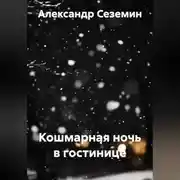 Постер книги Кошмарная ночь в гостинице
