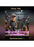 Игорь Кив - Протония. Школа автоэлектрики от Михалыча