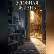 Постер книги Удобная жизнь