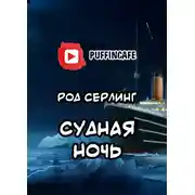 Постер книги Судная ночь