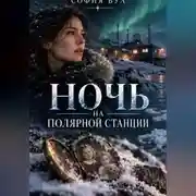 Постер книги Ночь на полярной станции