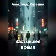 Постер книги Застывшее время