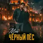 Постер книги Мой чёрный пёс