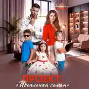Постер книги Проект «Идеальная семья»