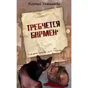 Постер книги Требуется бармен