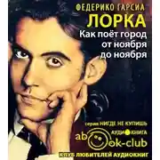 Постер книги Как поет город от ноября до ноября