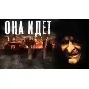 Постер книги Случай на старой дороге