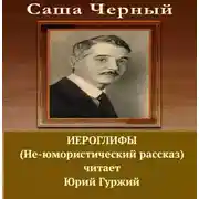 Постер книги Иероглифы (Не-юмористический рассказ)