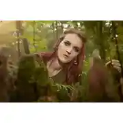 Постер книги Путешествие в изумрудный лес